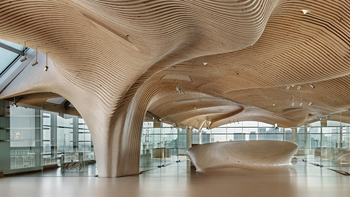 Arquitectura interior biofílica reactiva en superficies permeables