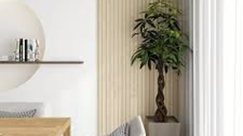 Revestimientos electrocapilares: muros que controlan humedad y condensación