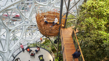 Diseño neuroarquitectónico: cómo medir científicamente el impacto emocional de los espacios