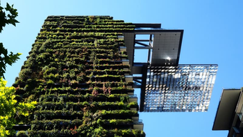 Materiales regenerativos en construcción: hacia la arquitectura que se cura sola